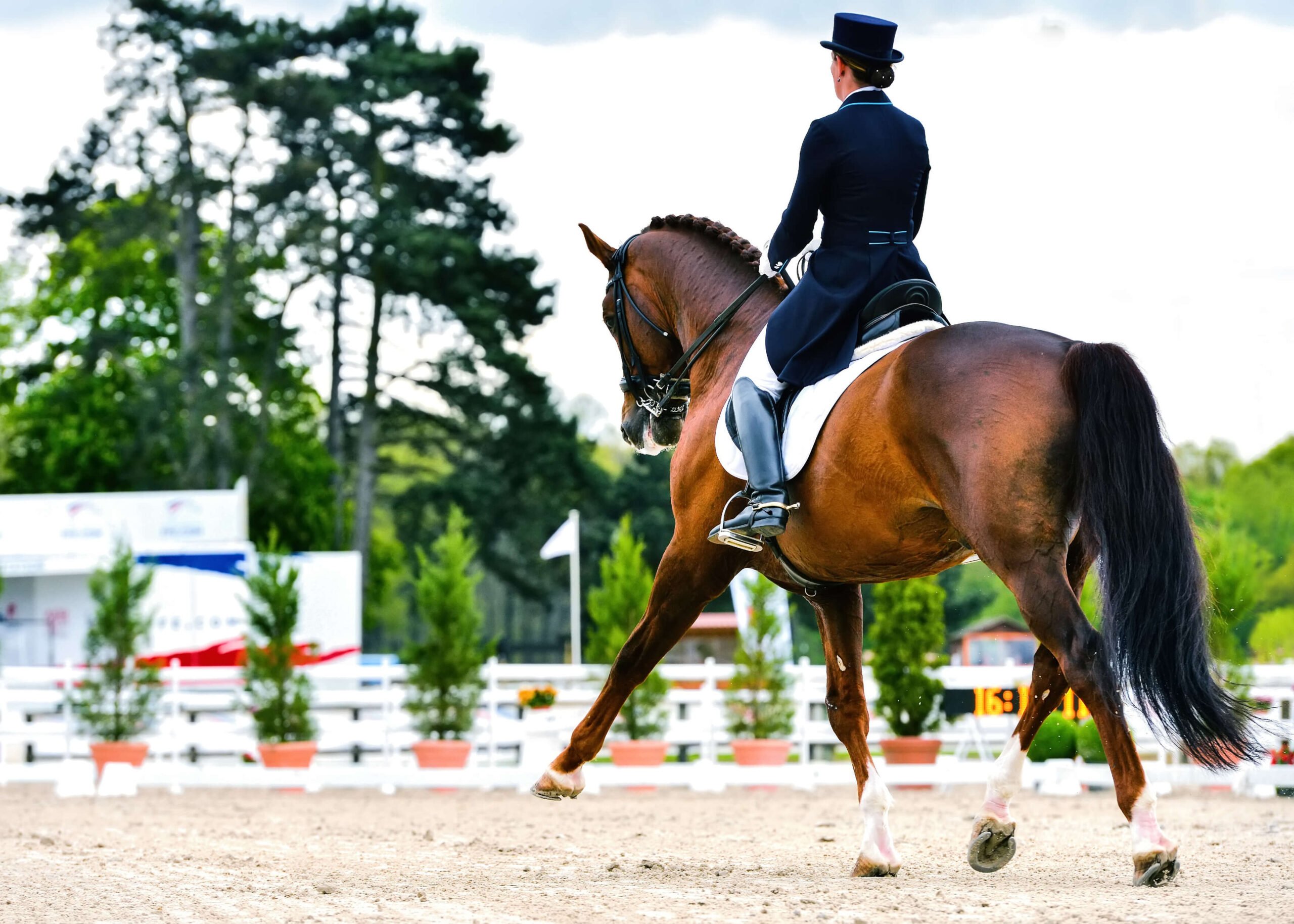 Dressurreiterin in eleganter Reitkleidung demonstriert auf einem braunen Pferd eine Dressurübung in einem Wettkampfumfeld mit Springparcours im Hintergrund.