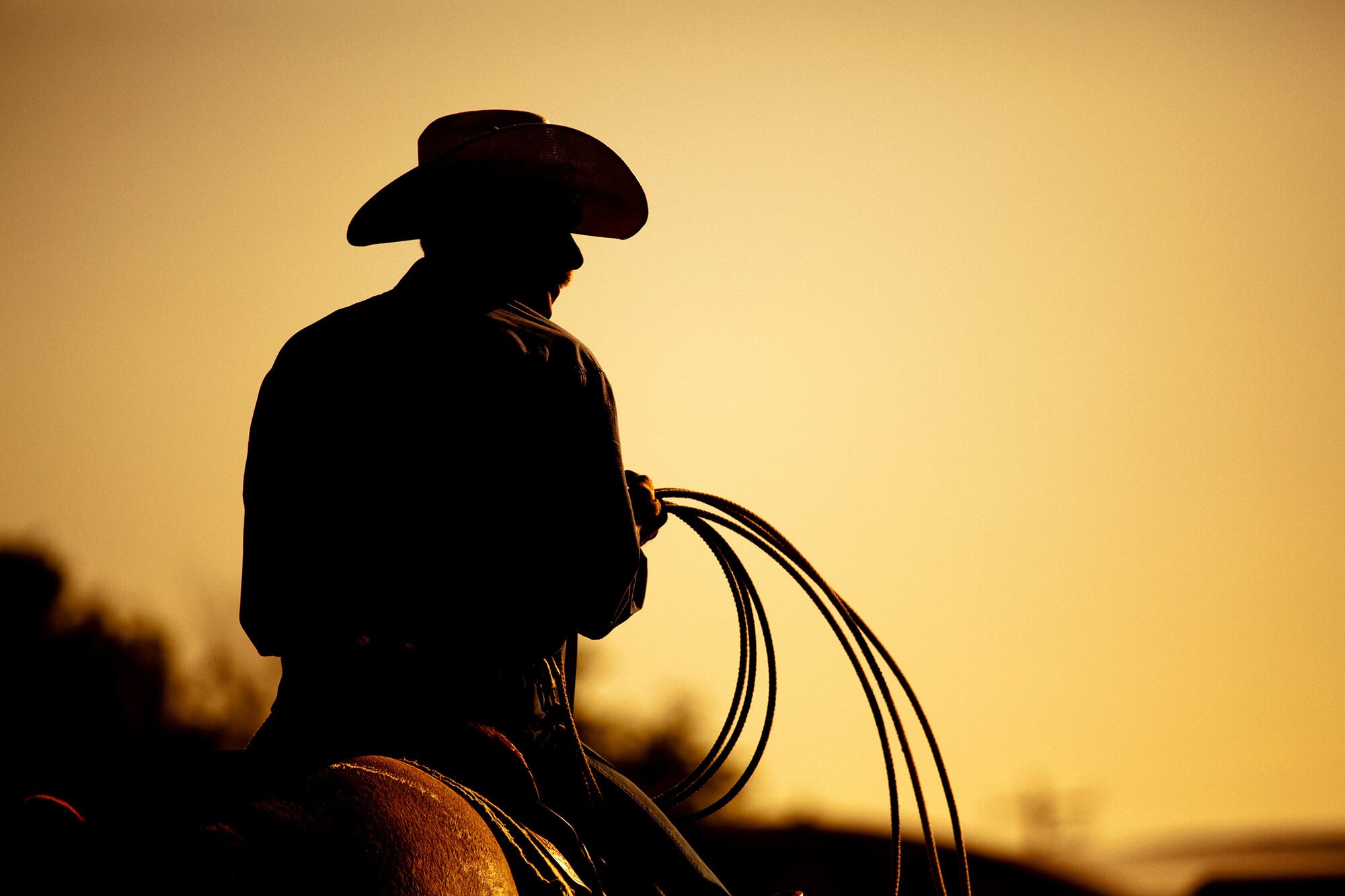 Silhouette eines Cowboys zu Pferd bei Sonnenuntergang, mit einem Lasso in der Hand, symbolisch für traditionelle Westernreitkunst und Viehhüterkultur