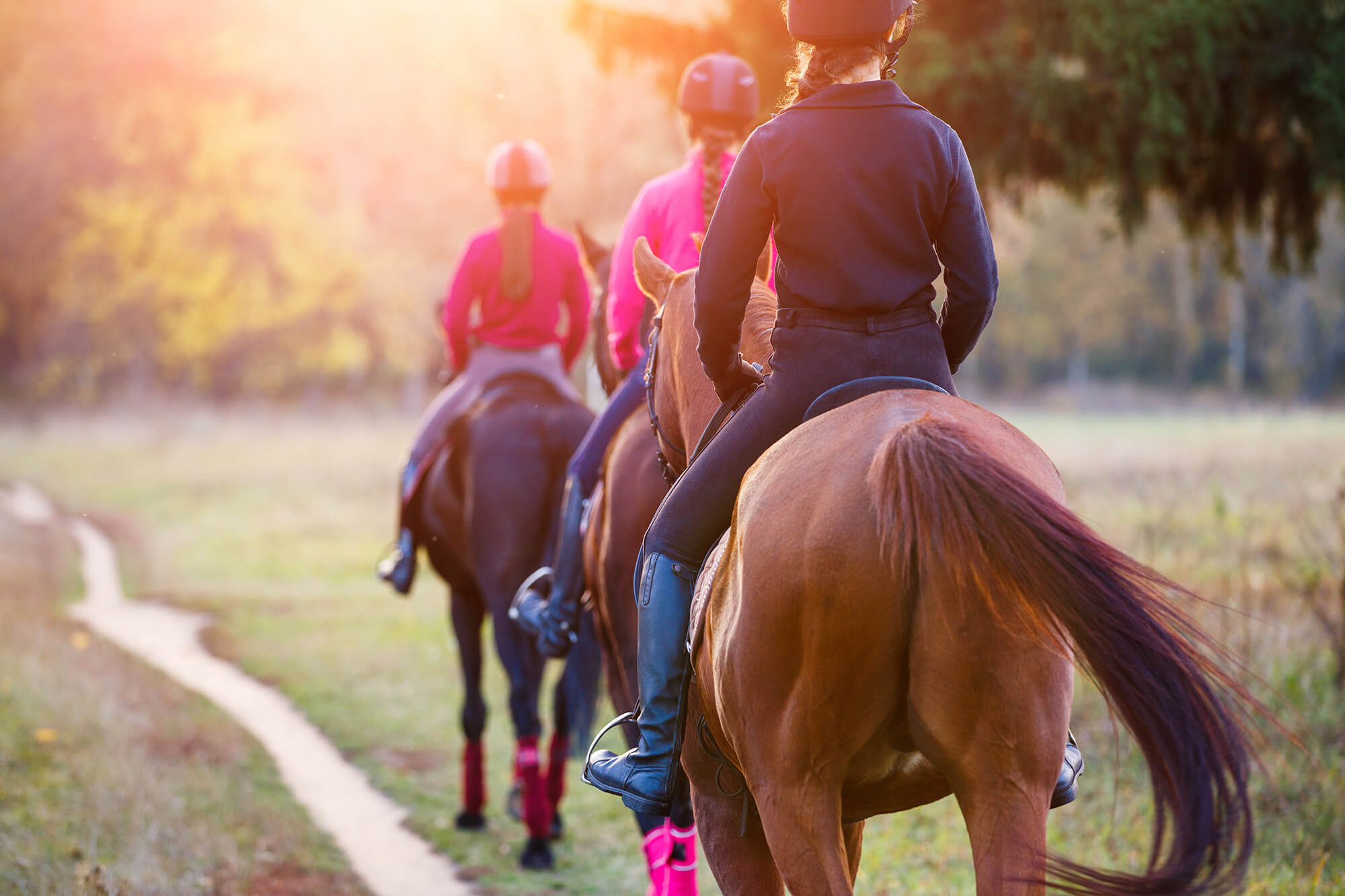 Zwei Reiterinnen in Reitbekleidung und Helmen reiten Pferde entlang eines sonnigen Waldweges, eingefangen in einer warmen Abendlichtstimmung.