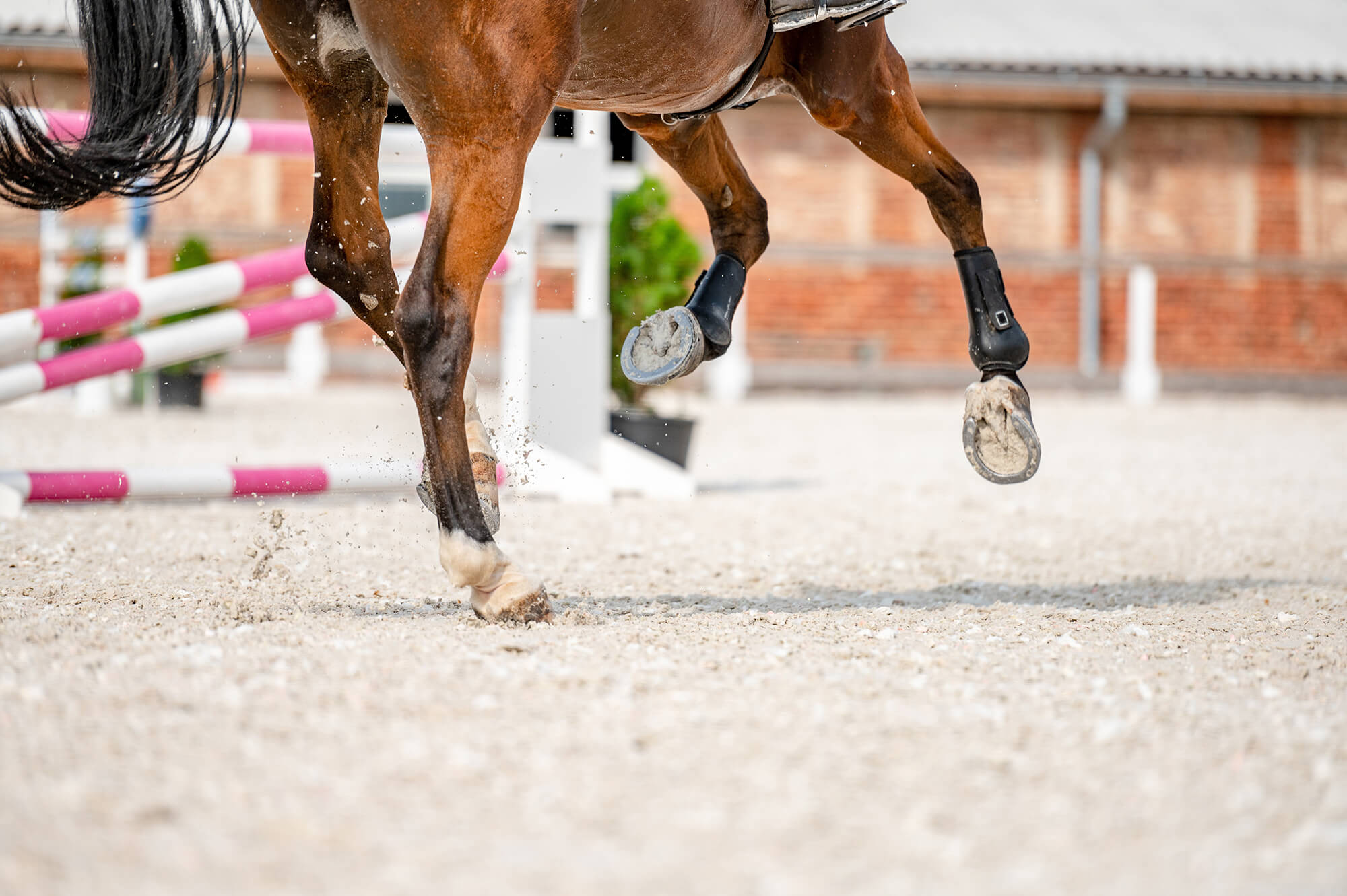 Nahaufnahme der Hufe und Beine eines springenden Pferdes mit Schutzgamaschen, das Sand auf einem Reitplatz aufwirbelt, mit unscharfen Hindernissen im Hintergrund