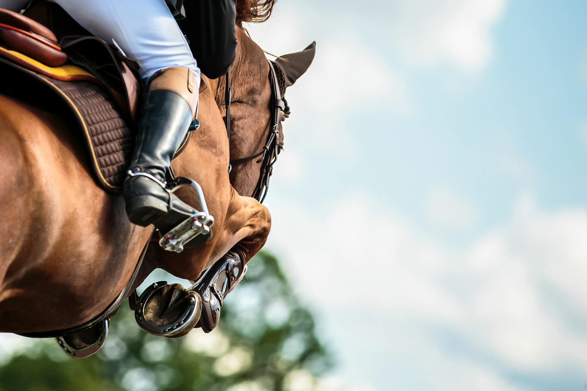 Detailansicht eines springenden Pferdes und Reiters, Fokus auf Beine und Hufe