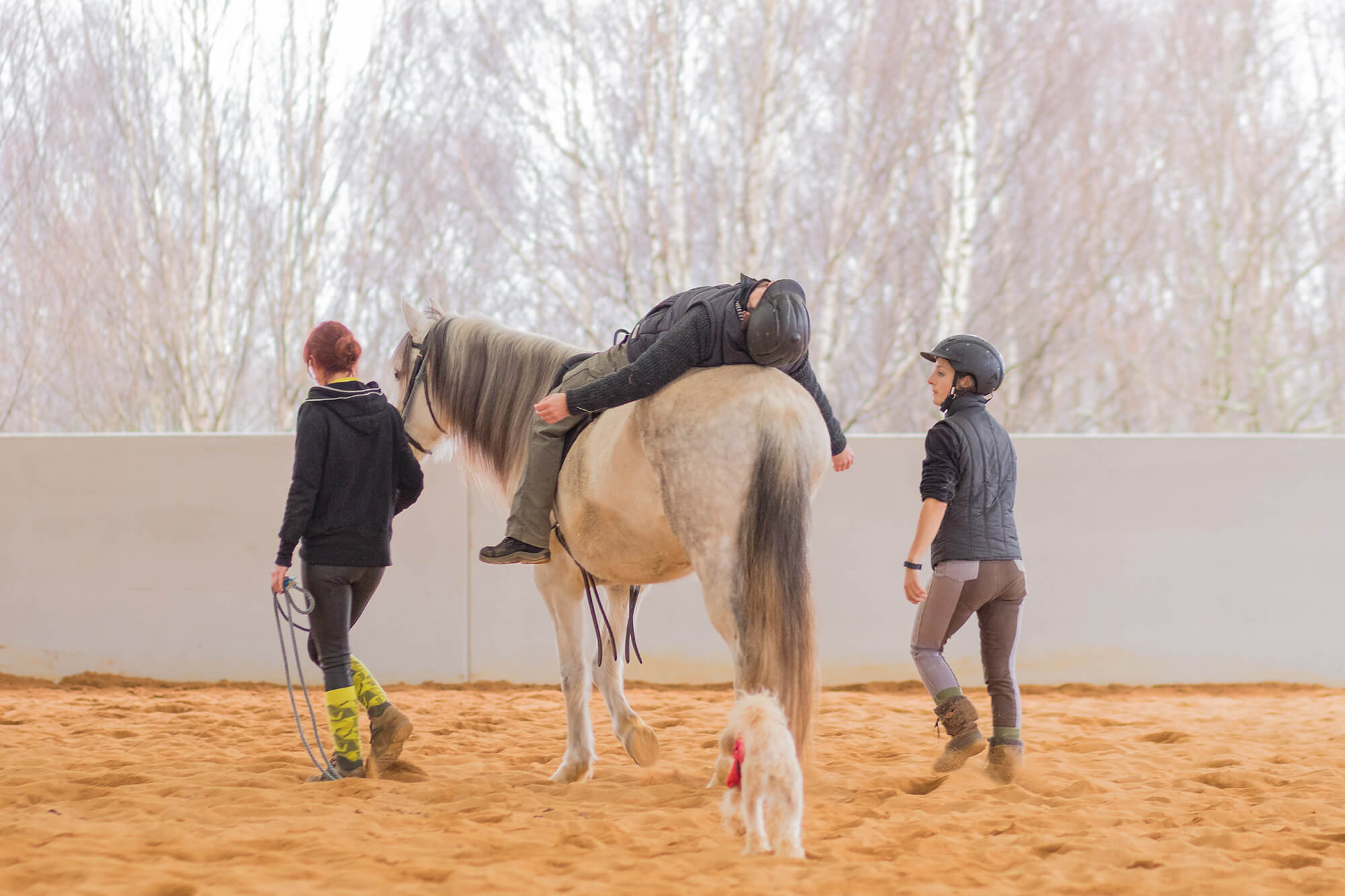 Therapeutisches Reiten zur Unterstützung von Menschen mit Behinderung. Reittherapie mit Pferd
