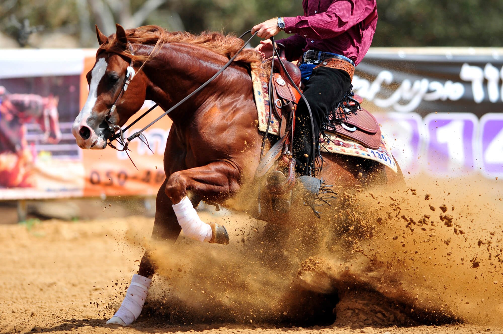 Westernreiter führt auf einem kastanienbraunen Pferd eine scharfe Wendung im Reining-Wettbewerb aus, wobei Sand aufgewirbelt wird, vor einem Publikum mit Werbebannern im Hintergrund.
