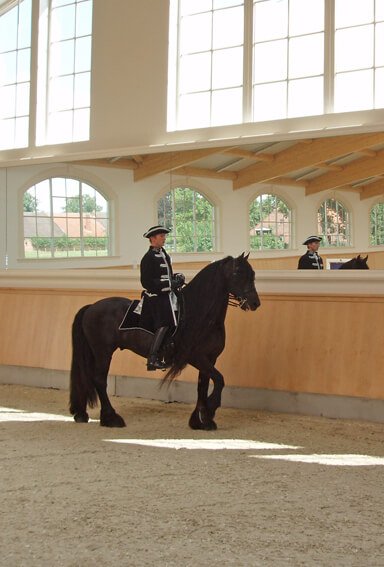 EIn Reiter der auf einem braunem Pferd in einer modernen Reithalle mit großer Spiegelfront reitet